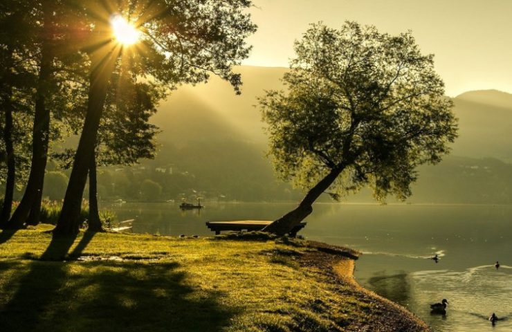 Summer Newsletter