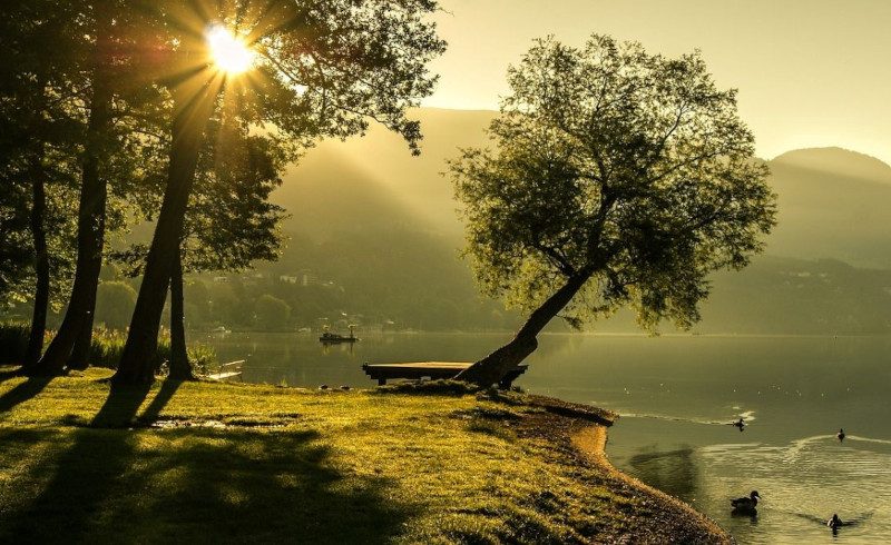Summer Newsletter