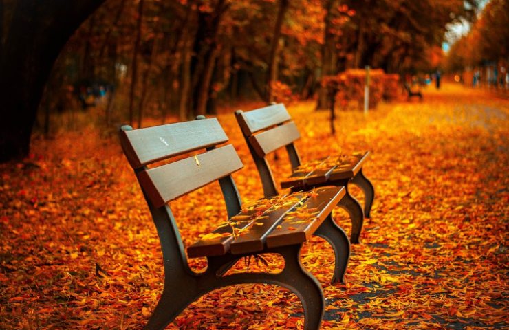 benches-560435_1280