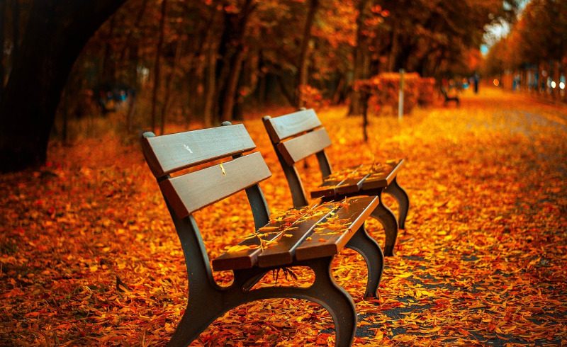 benches-560435_1280