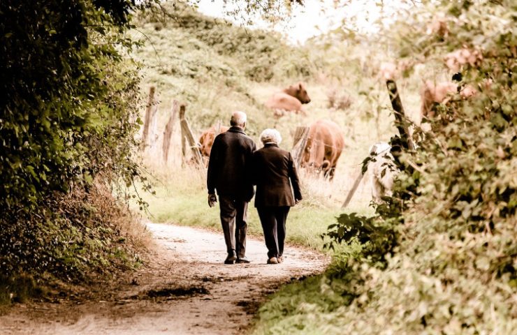 elderly-2914879_1280