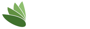 Eldon Financial Planning Limited - 