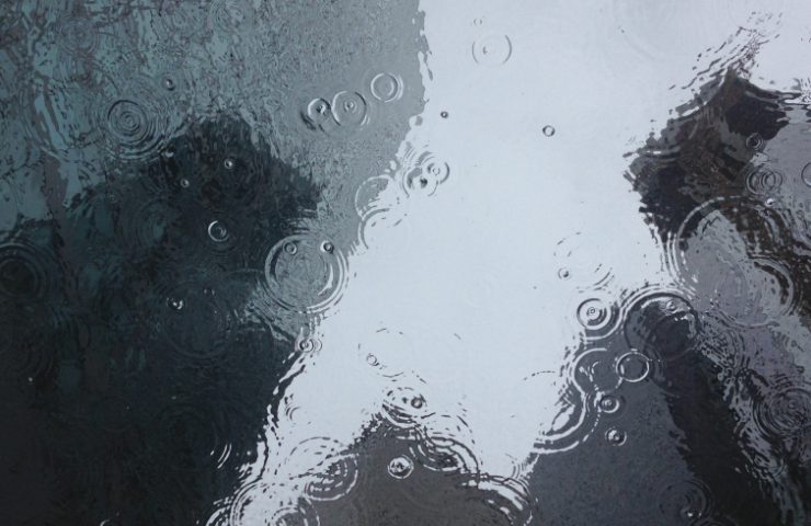 pexels-puddle-1853607
