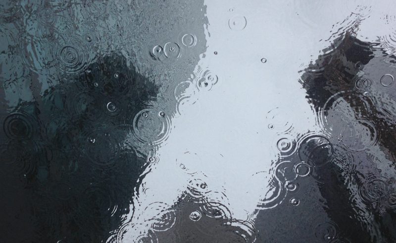 pexels-puddle-1853607